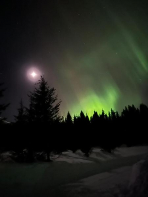 Langahlíð Guesthouse - Privatete Forest -